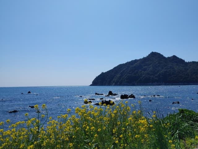 済州島の風景